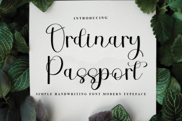 Enhance Your Editorial Design with Ordinary Passport Font